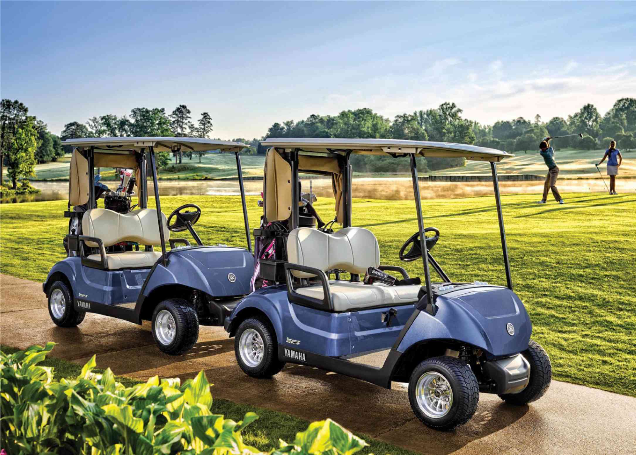 Electric Golf Carts