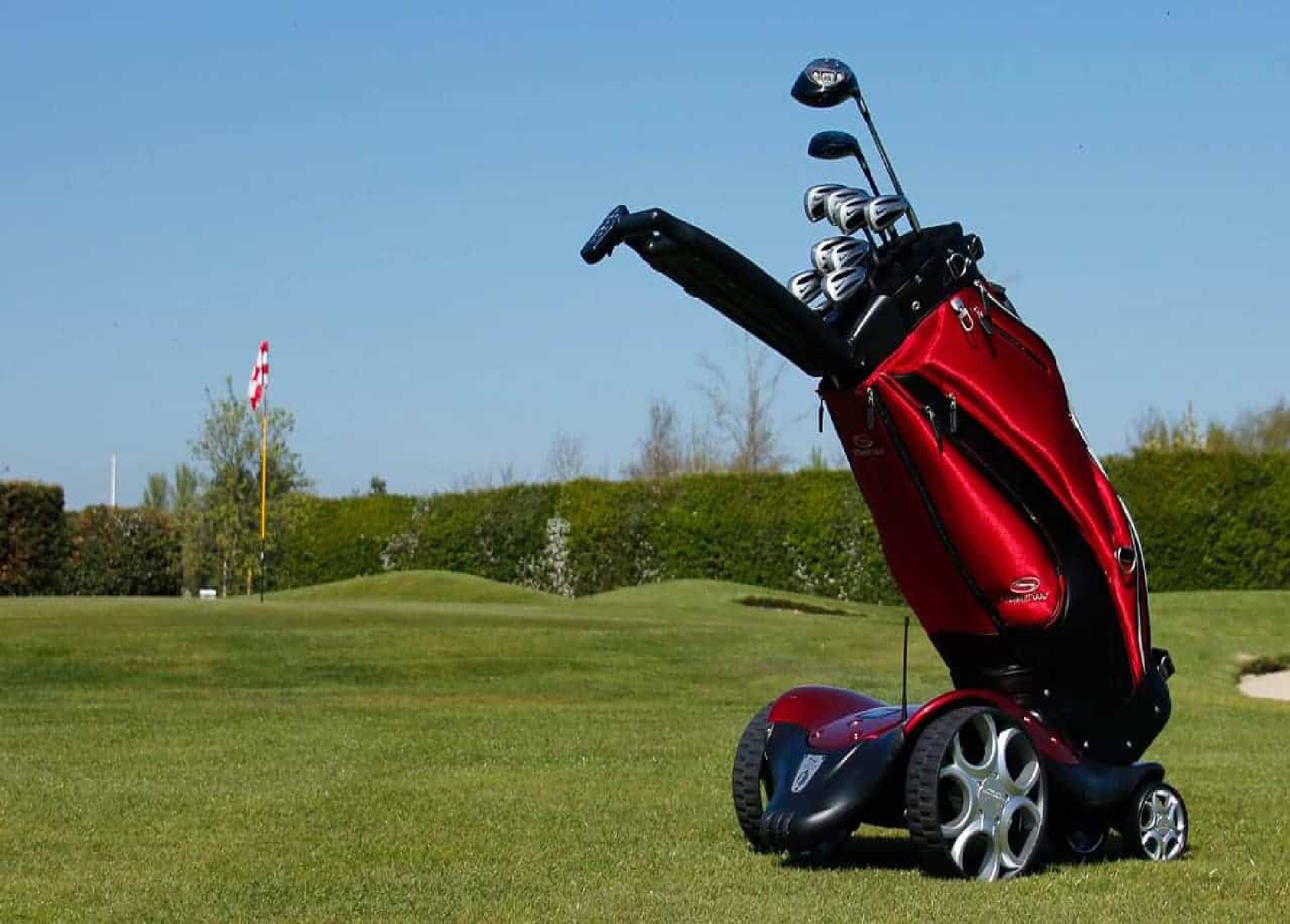 Electric Golf Carts